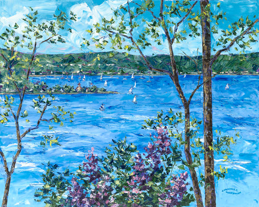Little Traverse  Vista