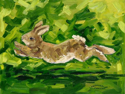 Rabbit